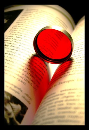 The love of reading The love of reading